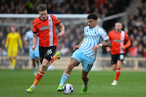 心理专注往 心理专注往