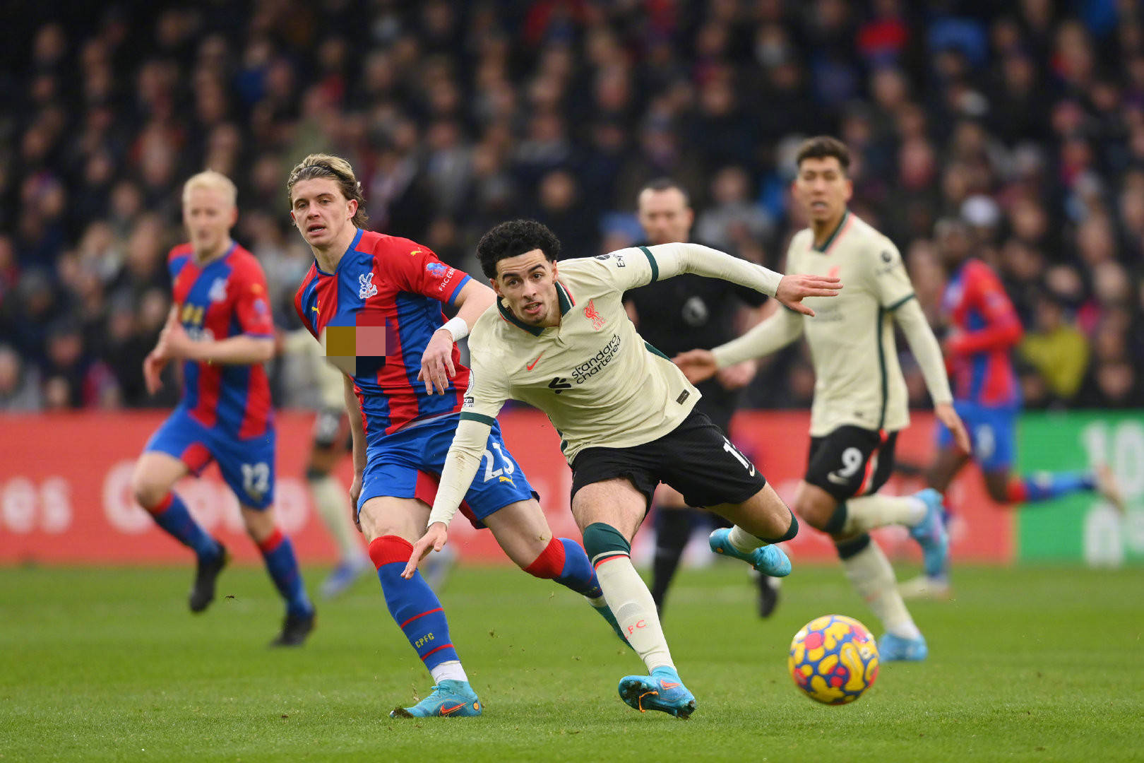 在任何领域 在任何领域